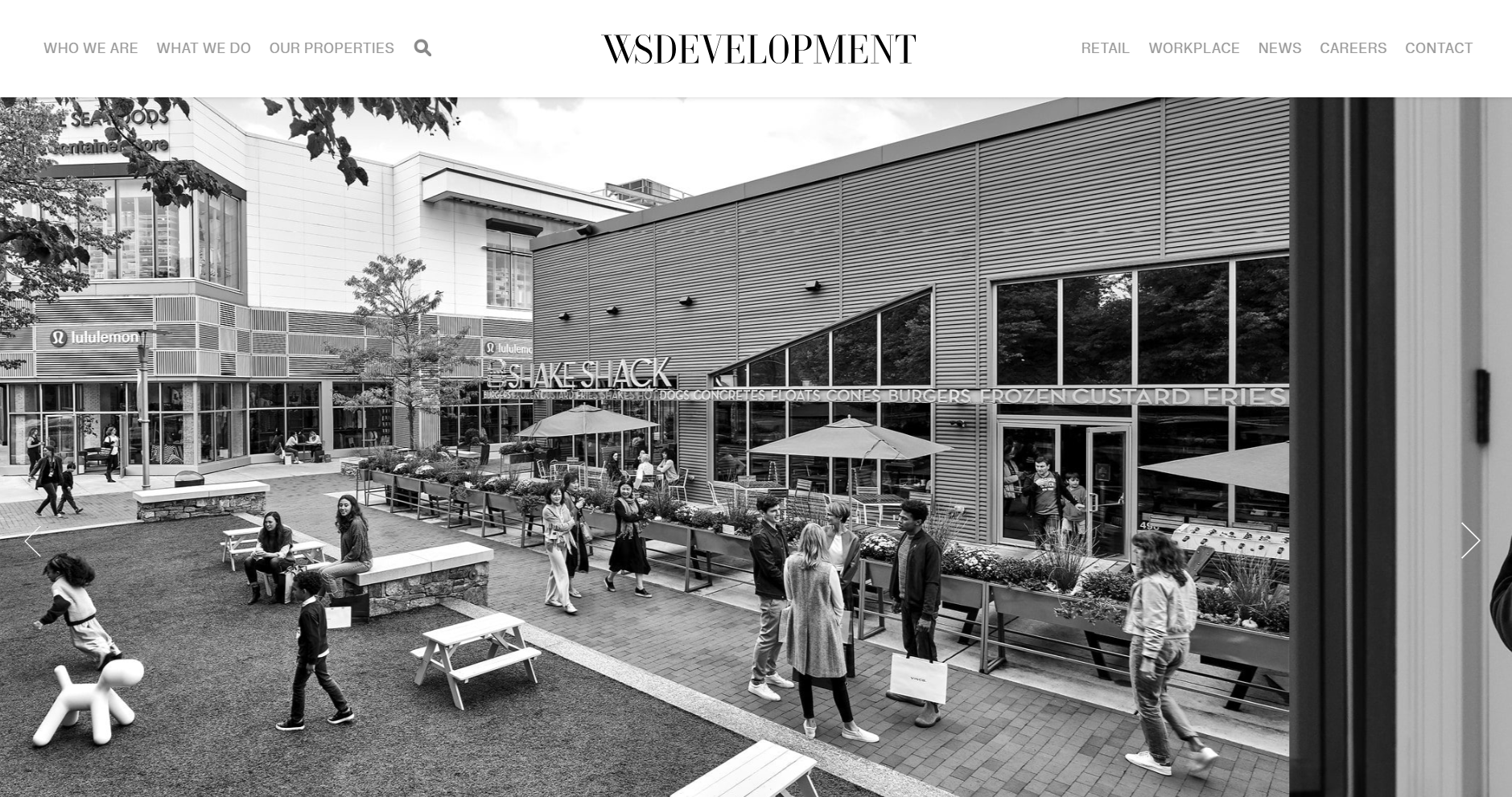 WS Development homepage screenshot